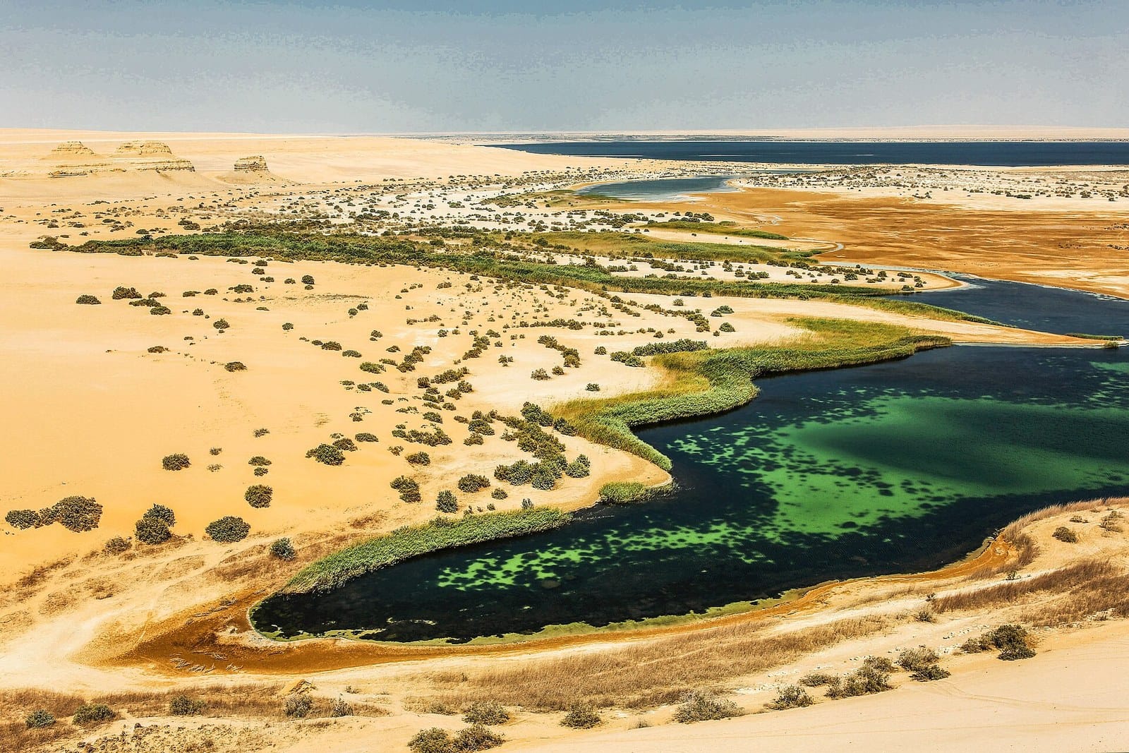 Lago verde smeraldo tra le dune dorate del Wadi El Rayan, vista panoramica dall'alto