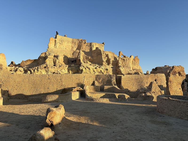 Le mura in argilla salata della fortezza di Shali illuminate dalla luce dorata a Siwa