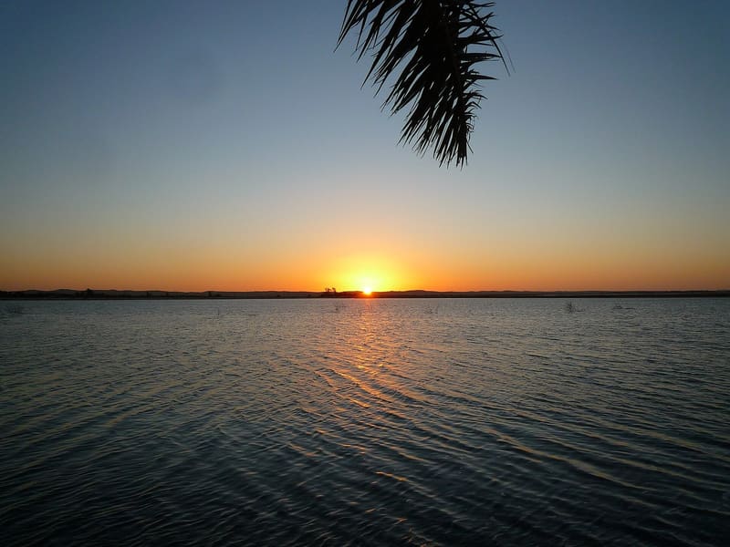 Tramonto sul lago dell'isola di Fatnas con una fronda di palma in primo piano