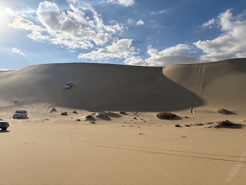 Fuoristrada sulle immense dune dorate del Grande Mare di Sabbia vicino a Siwa