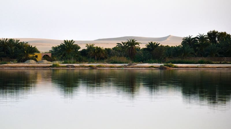 Palmeti dell'oasi di Siwa riflessi in un lago con le dune sullo sfondo