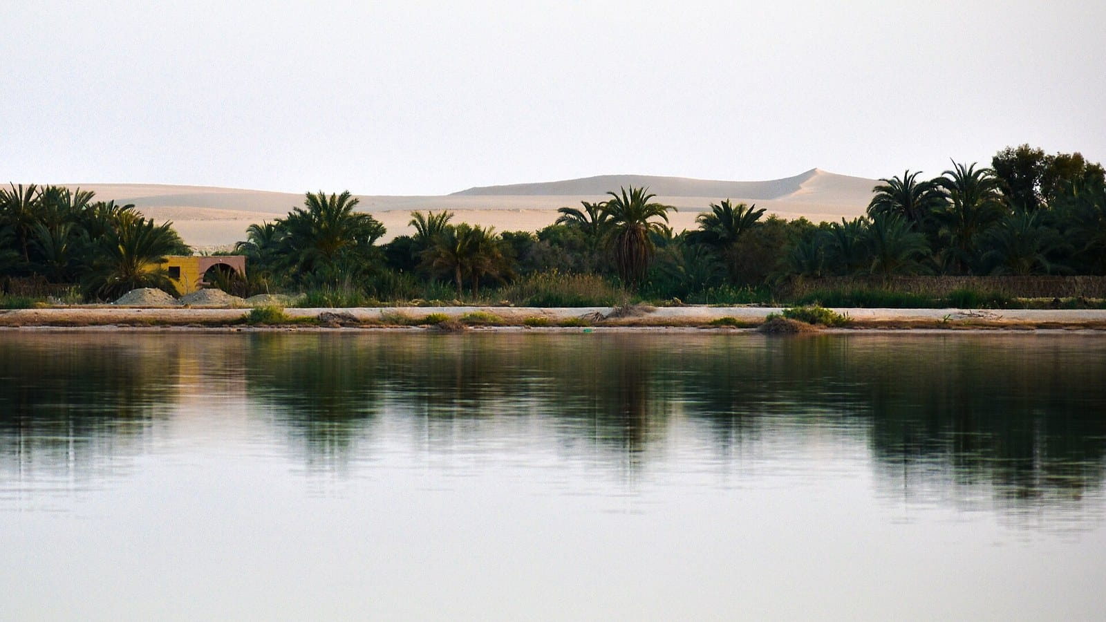 Palmeto dell'oasi di Siwa dove si trovano molti ecolodge e alloggi tradizionali